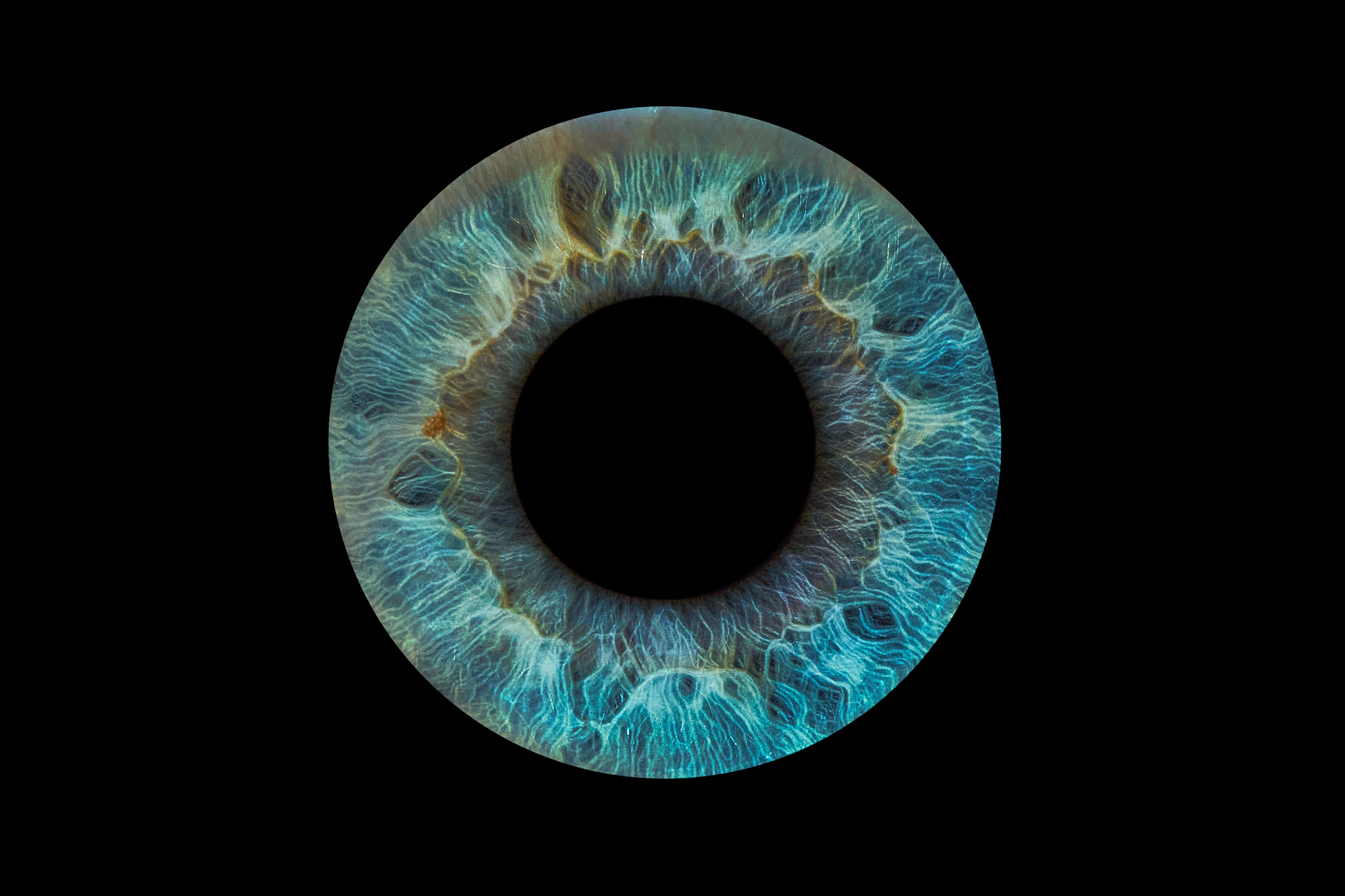 Iris-Kunstwerk von Moritz
